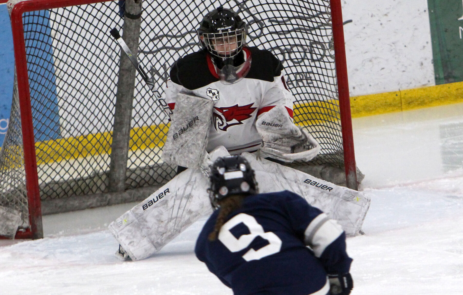 Hudson at Chippewa Falls/Menomonie girls hockey 1-17-23